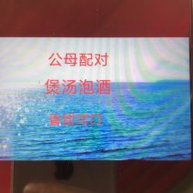 海龙，海燕子，海蛇，海马，一手货源品质保证量大从优