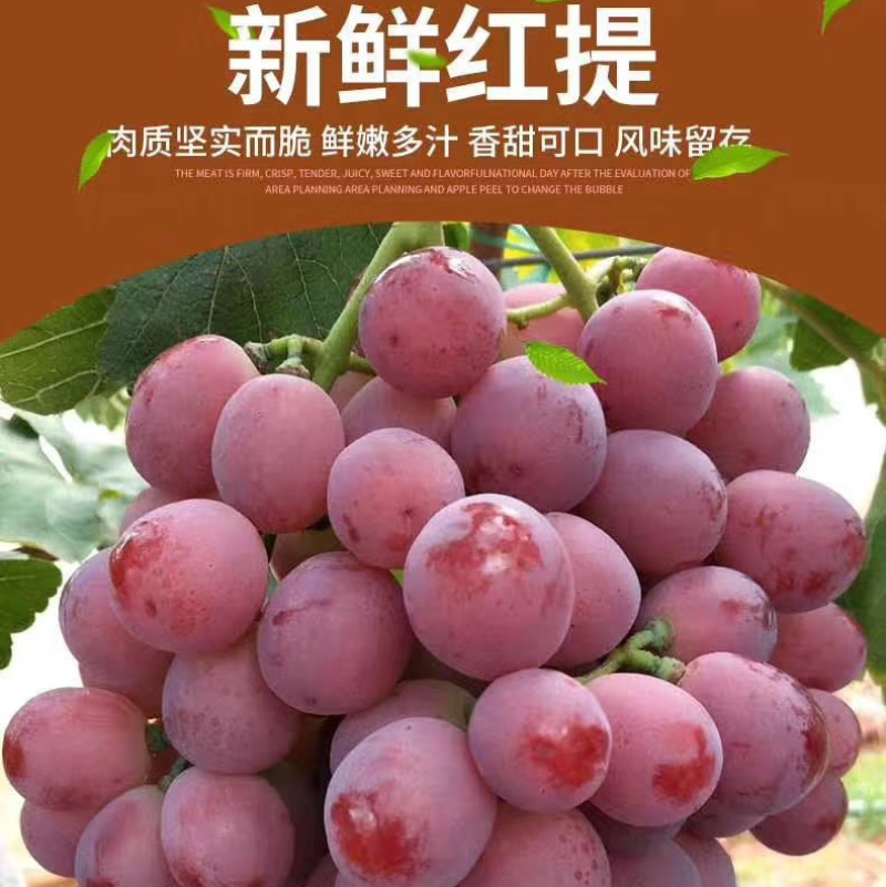 红提葡萄，长线椒
