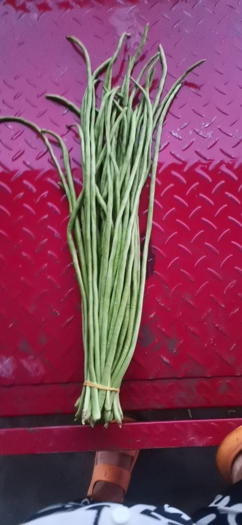 青豆角