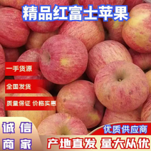 【精选】栖霞红富士苹果常年供应，基地现发量大从优好品质