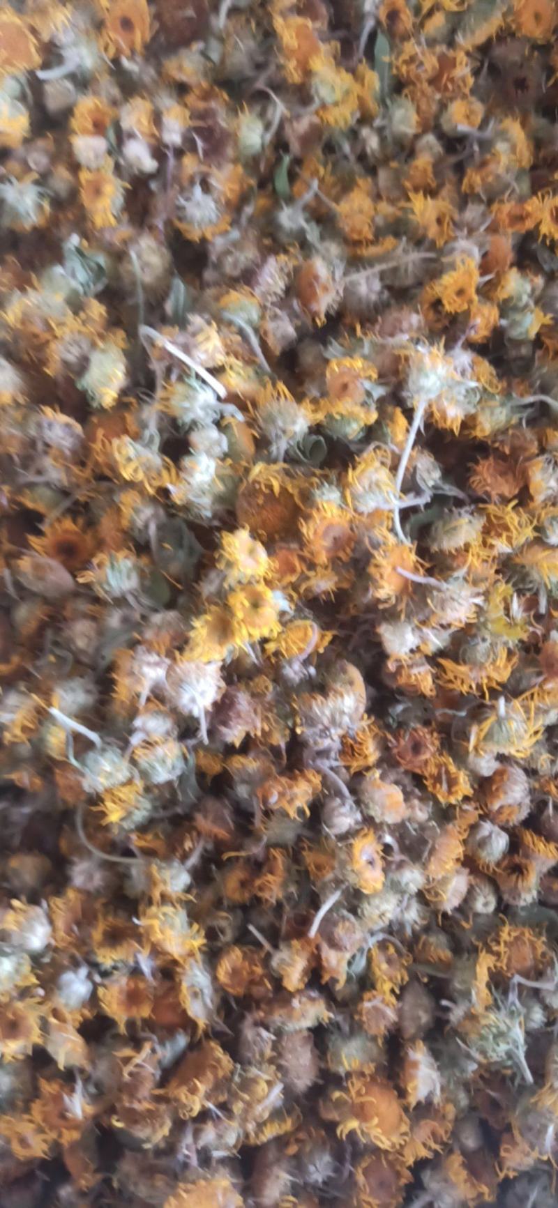 旋覆花中药材批发旋覆花质量保证量大从优