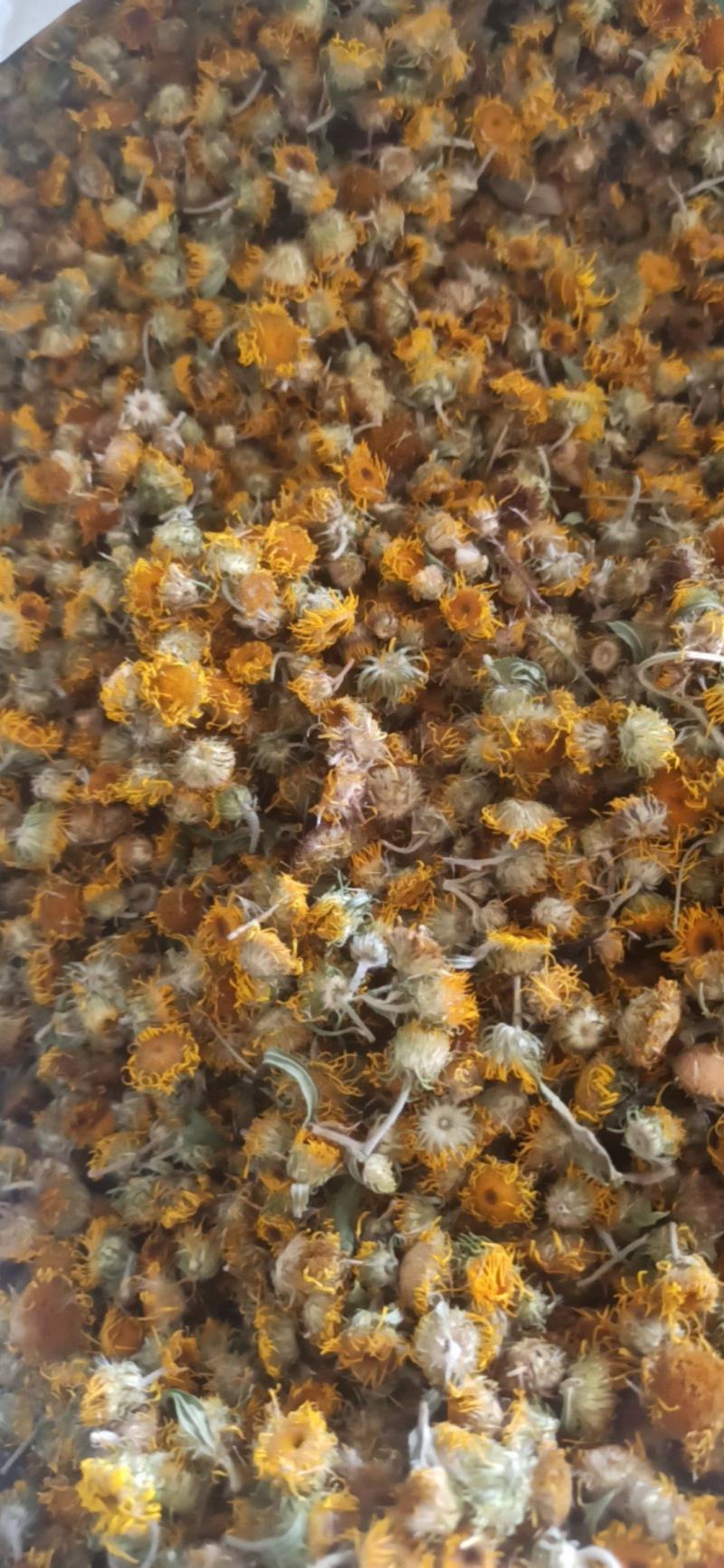旋覆花中药材批发旋覆花质量保证量大从优