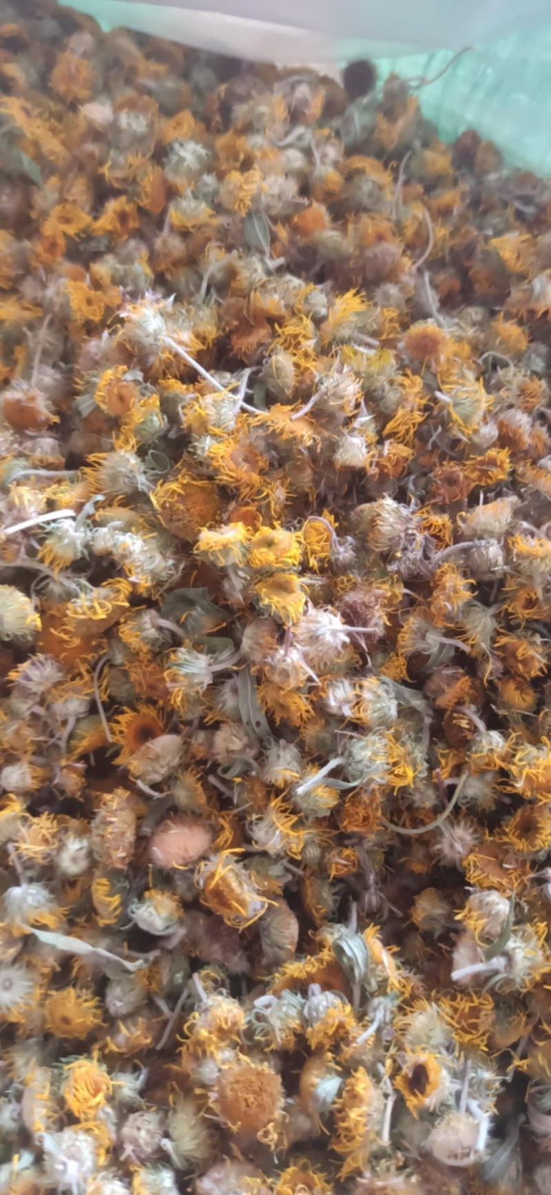 旋覆花中药材批发旋覆花质量保证量大从优