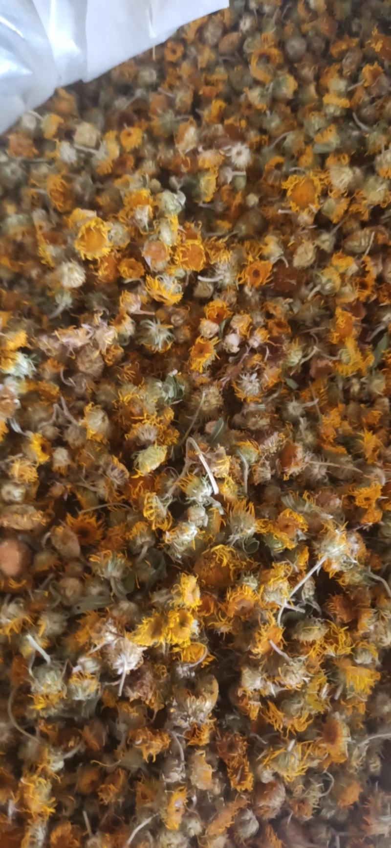旋覆花中药材批发旋覆花质量保证量大从优