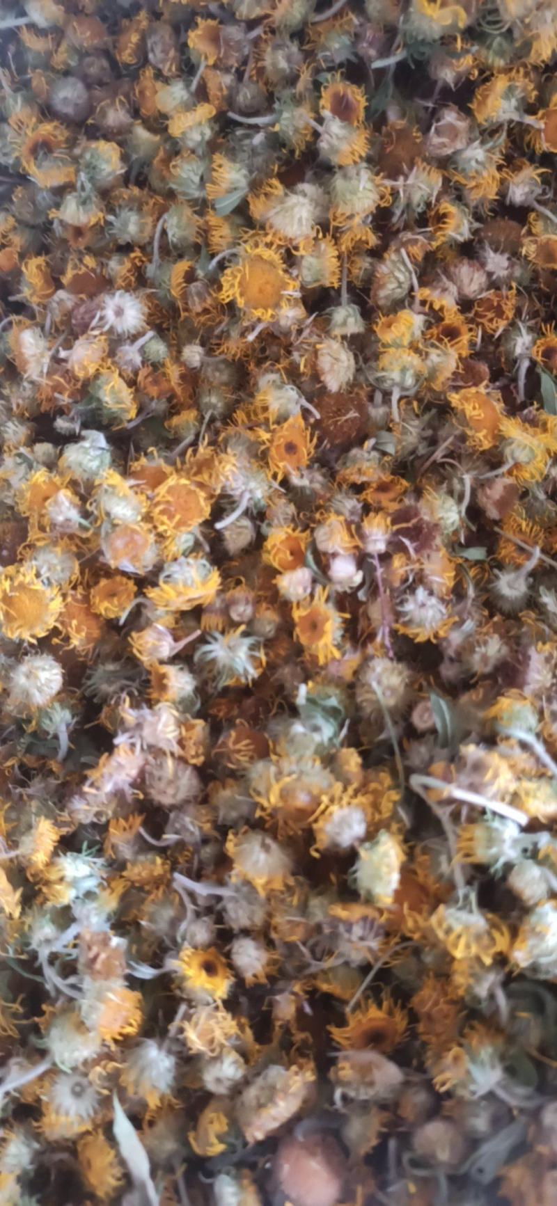 旋覆花中药材批发旋覆花质量保证量大从优