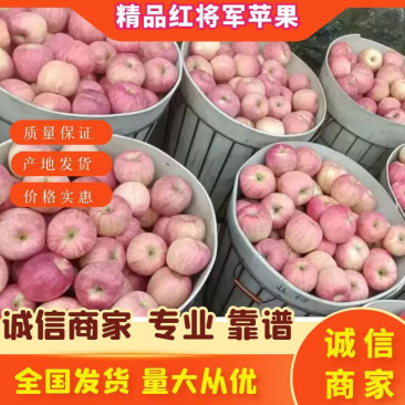 栖霞苹果红富士苹果大量上市，苹果甘甜爽口多汁。个大