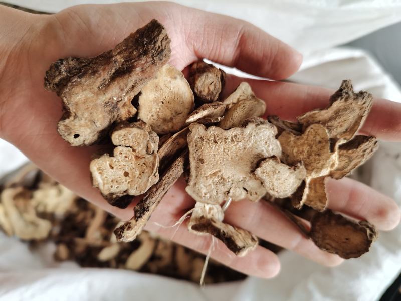 白术实物拍摄产地安徽1斤起售量大从优欢迎选购