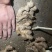 湖南湘西私人小户窖藏老小黄姜，不打膨大素