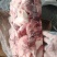 元宝肉元宝骨