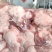 元宝肉元宝骨
