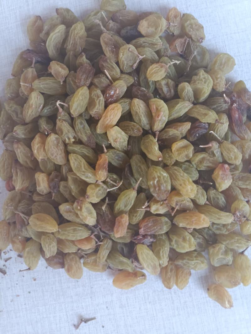 新疆鄯善葡萄干