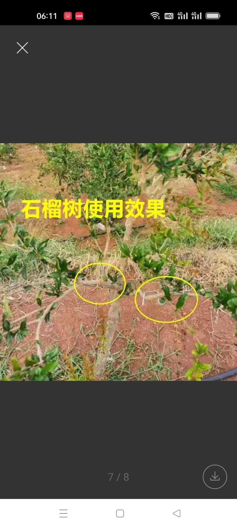 M型别枝器拉枝器开角器柑橘苹果李子西梅花卉拉枝开角定型