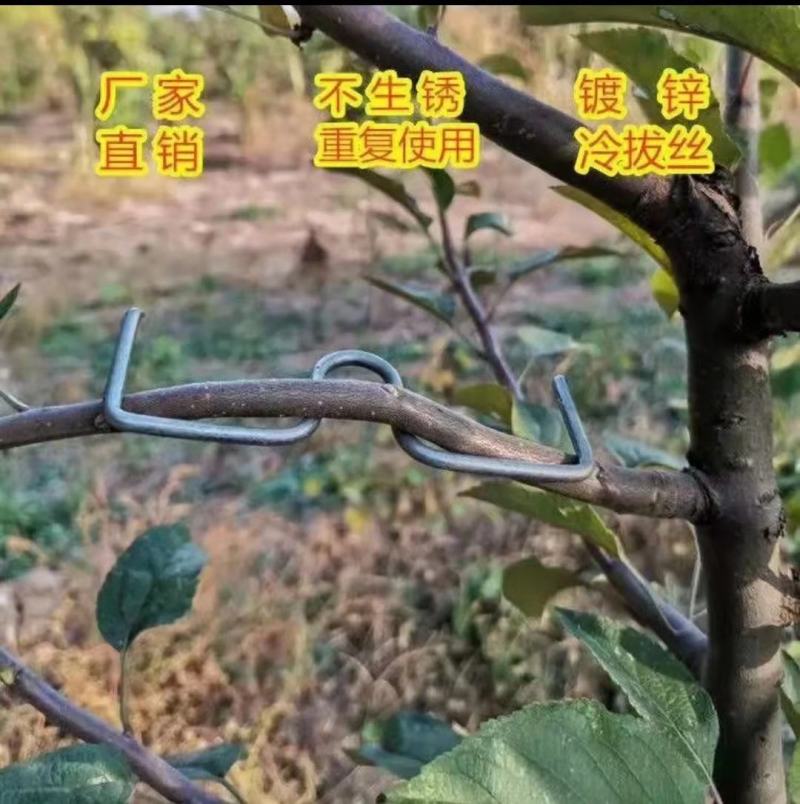 M型别枝器拉枝器开角器柑橘苹果李子西梅花卉拉枝开角定型