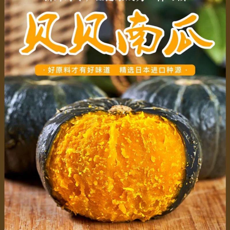 南瓜-贝贝南瓜内蒙贝贝南瓜粉度高口感好