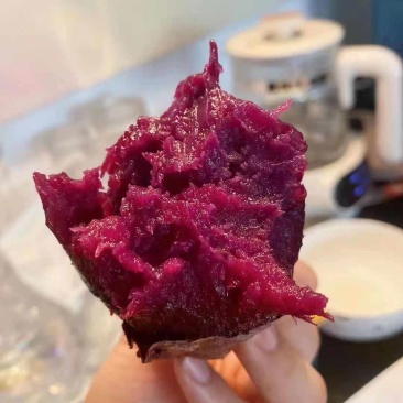 独有品种泰紫薯一号大量上市