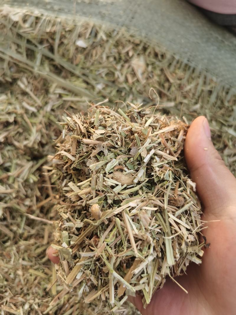 花生秧草料花生秸秆牛羊饲料花生草段无土无地膜沙土地