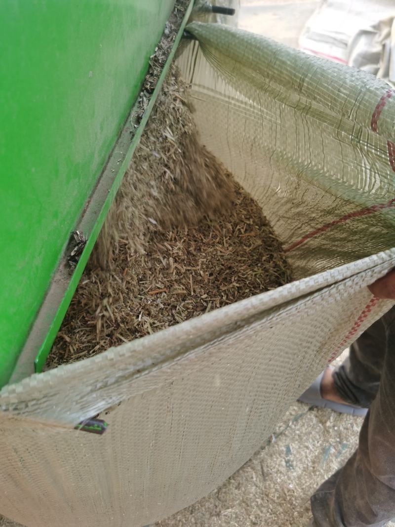 花生秧草料花生秸秆牛羊饲料花生草段无土无地膜沙土地