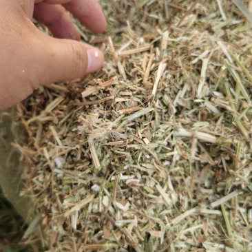 花生饲料花生秧花生草段河南货源无土无杂质深加工牛羊草
