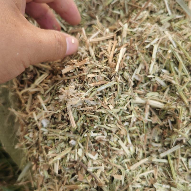花生饲料花生秧花生草段河南货源无土无杂质深加工牛羊草