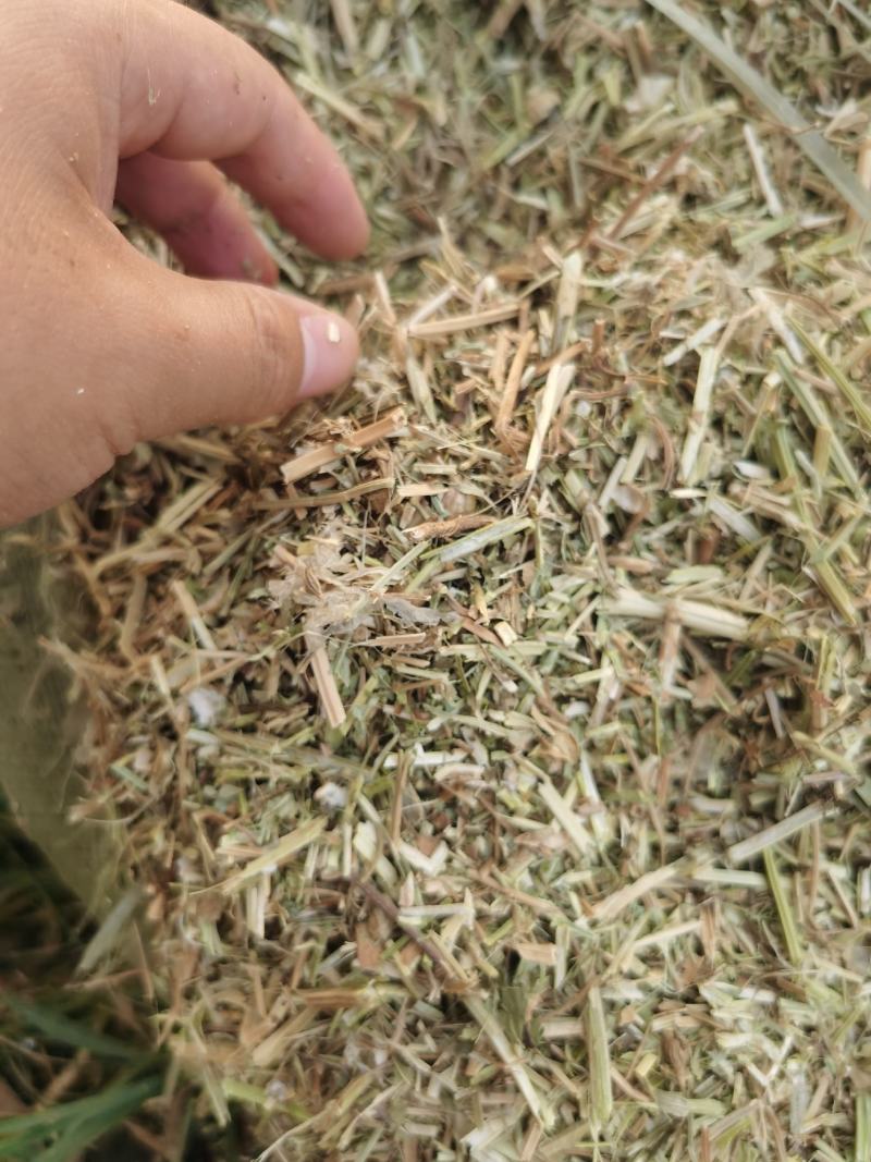 花生饲料花生秧花生草段河南货源无土无杂质深加工牛羊草