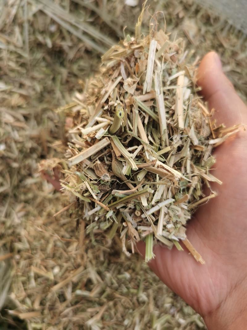 花生饲料花生秧花生草段河南货源无土无杂质深加工牛羊草
