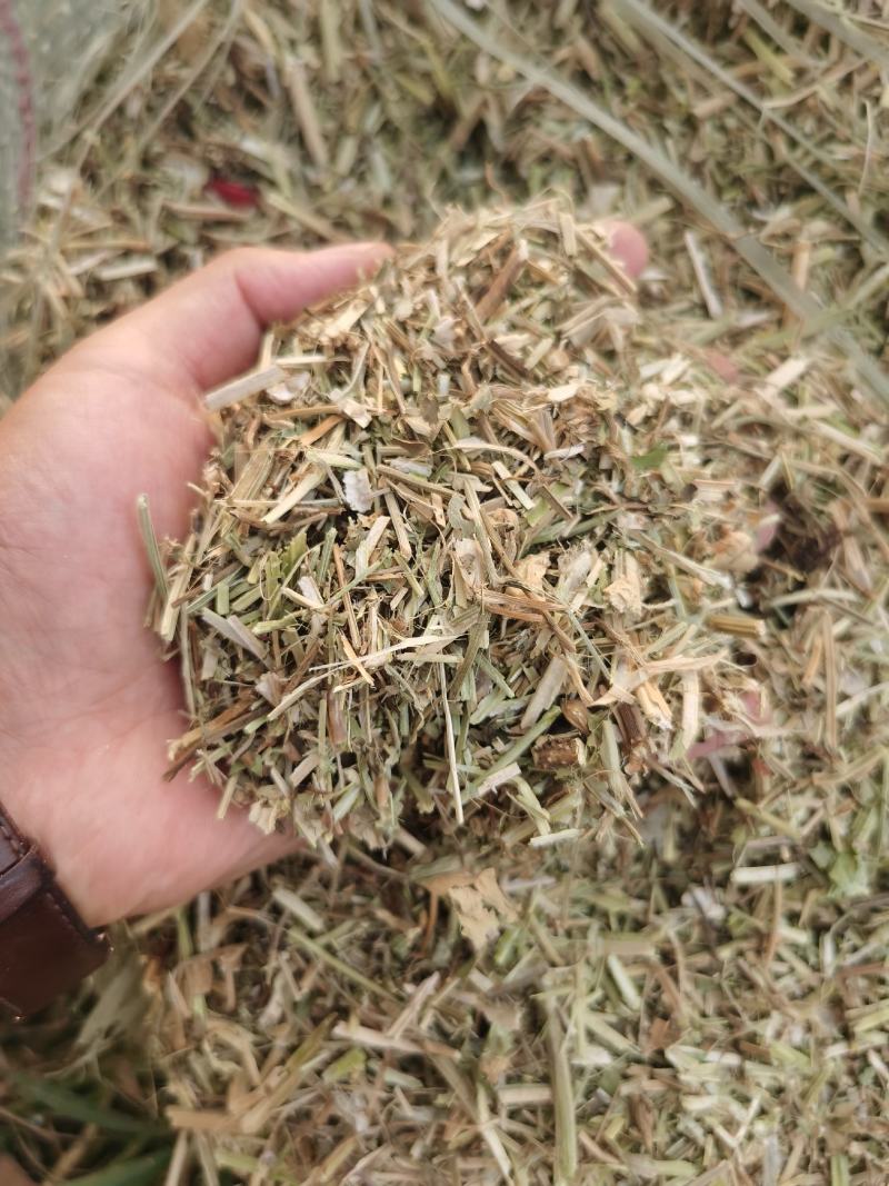 花生饲料花生秧花生草段河南货源无土无杂质深加工牛羊草