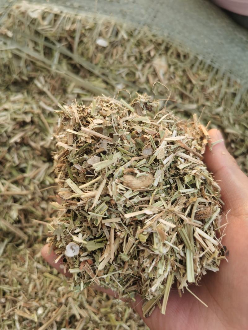 花生饲料花生秧花生草段河南货源无土无杂质深加工牛羊草
