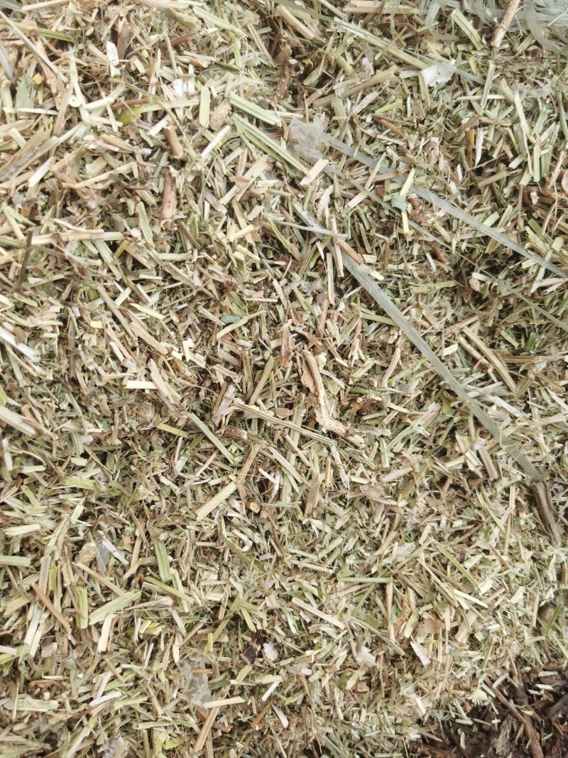 花生饲料花生秧花生草段河南货源无土无杂质深加工牛羊草