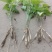 广西红花百部苗，白花百部苗，种子苗，5个薯起，货源充足