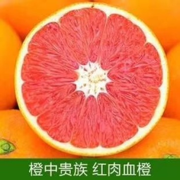 赣南红橙