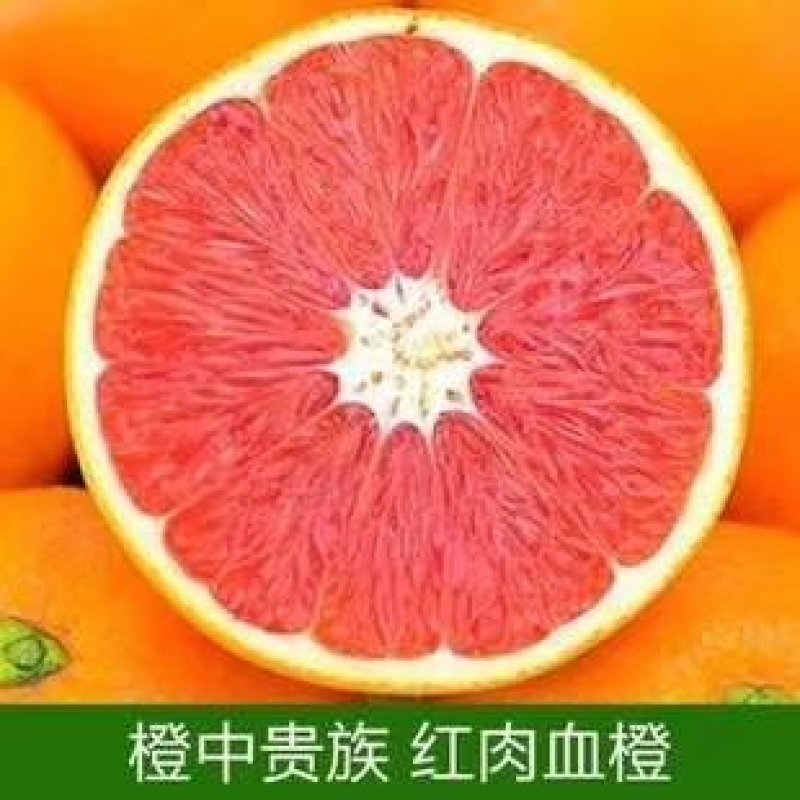 赣南红橙