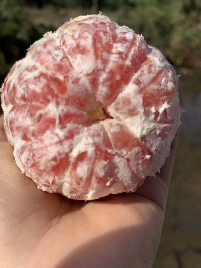 赣南红橙
