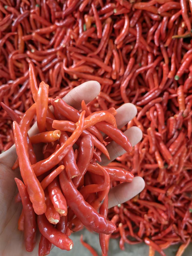 艳红剁椒，泡椒剁椒，