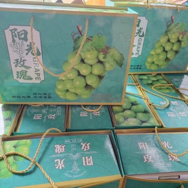 中秋阳光玫瑰礼盒