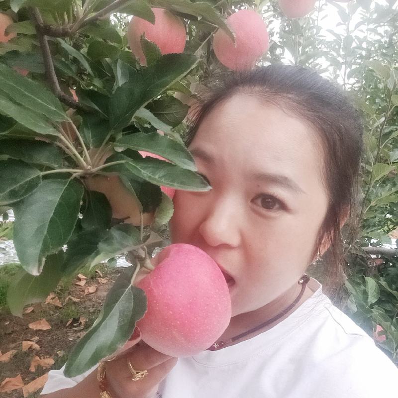 宜川冷库嘎啦苹果