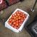 西红柿大量供应、剪把子、质量保证、支持各种包装、欢迎采购