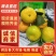 蜜桔柑桔特早蜜橘,皮薄无籽果园现摘现发欢迎咨