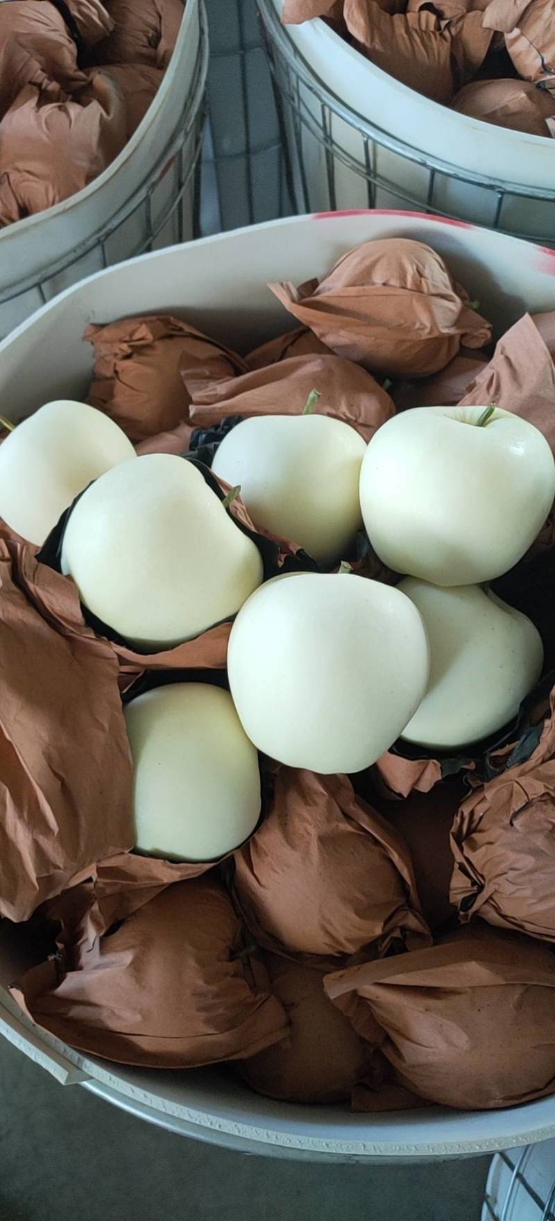 黄元帅，金帅，质量好，果面干净，残果率低