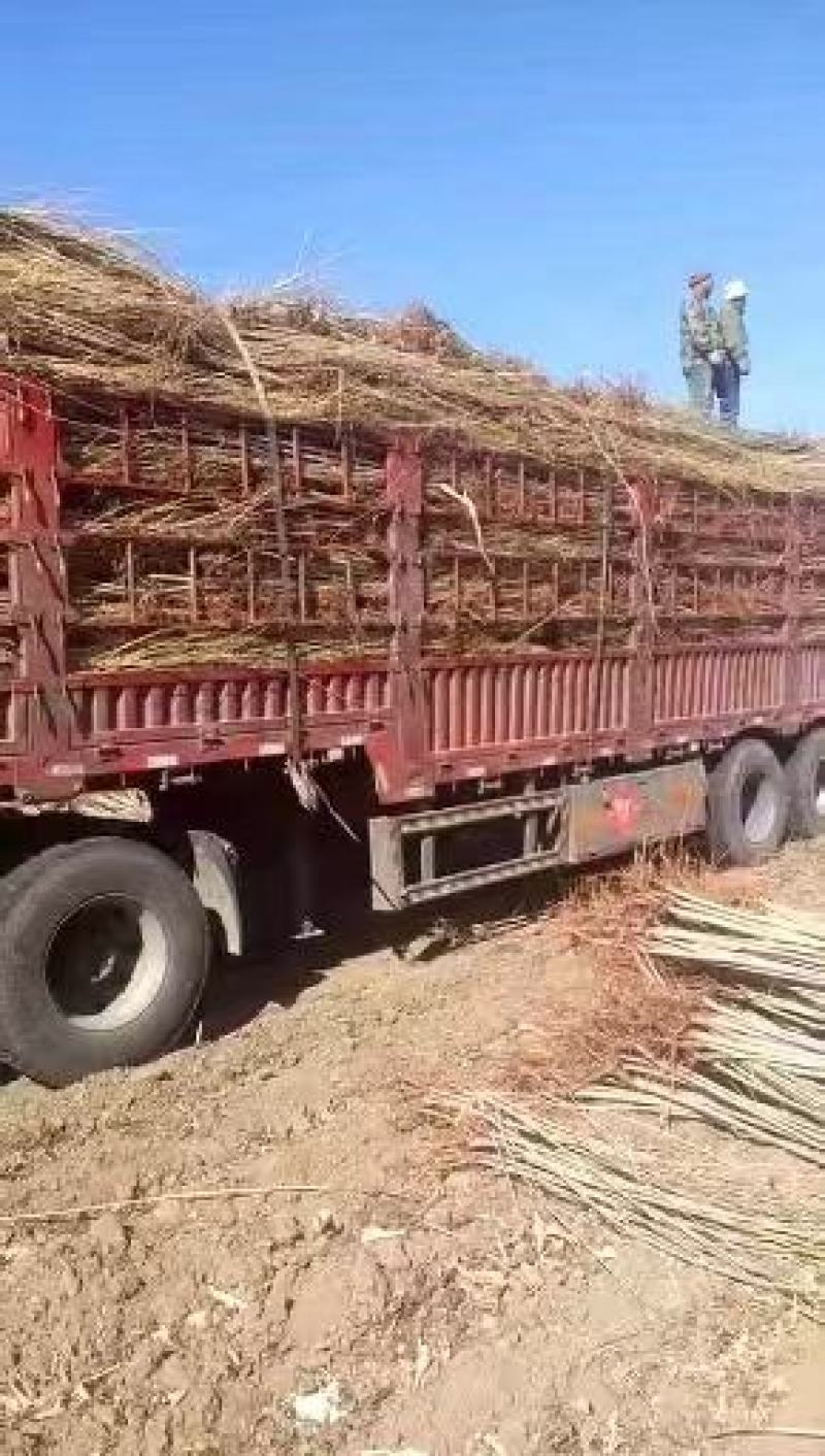 承接全国物流运输业务车辆齐全安全快捷代办农产品