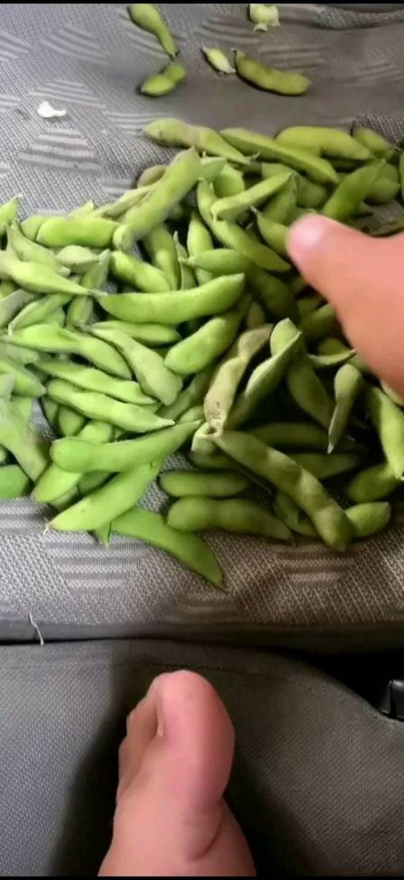 郯城开心绿绿宝石，毛豆，大青豆，产地直供大量有货