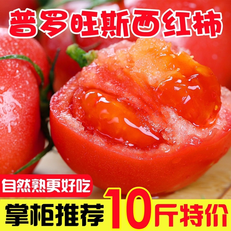 新鲜头茬普罗旺斯露天水果西红柿沙瓤自种