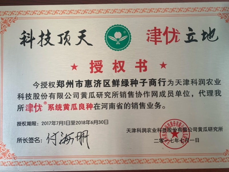 全雌津优201油亮把短顺直适宜早春/晚秋温室种植