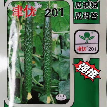 全雌津优201油亮把短顺直适宜早春/晚秋温室种植