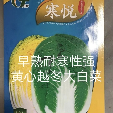 寒悦黄心露地越冬白菜种子耐寒性强5斤抗根肿病产量高口感好