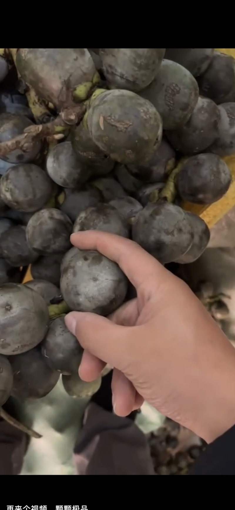追风果批发越南追风果大果好货