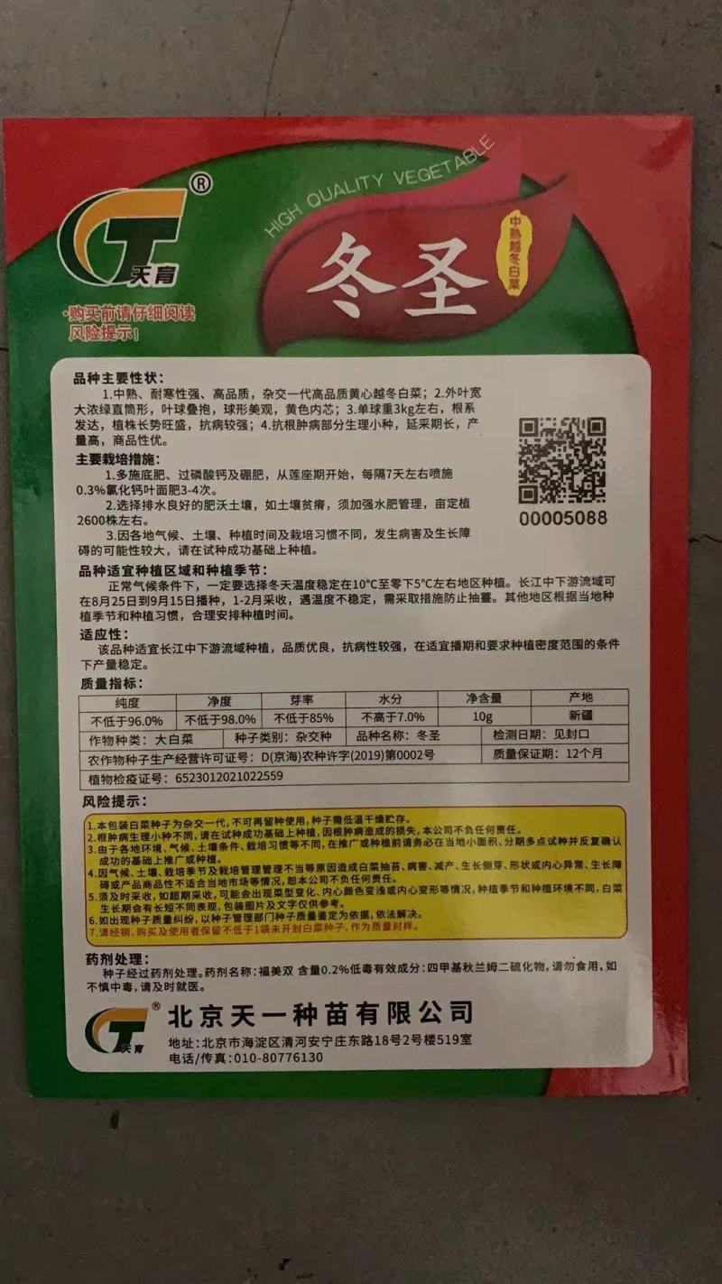 寒悦黄心露地越冬白菜种子耐寒性强5斤抗根肿病产量高口感好