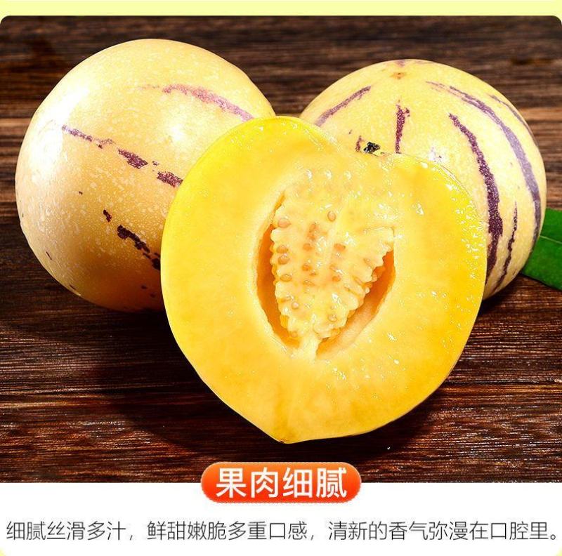 云南石林人参果支持各大平台一件代发，市场批发，社区团购