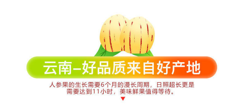 云南石林人参果个大多汁香甜对接市场社区团购一件代发