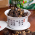 余甘果茶，油甘茶，牛甘果干，牛甘果茶泡水泡茶