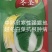 冬圣中熟露地越冬黄心大白菜种子抗病6斤抗根肿病采期长商品